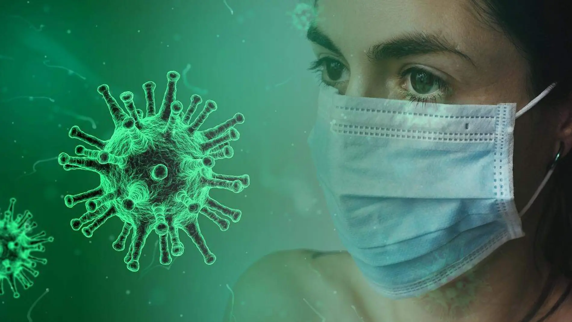 virus ilustrativa PIXABAY